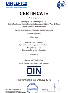 國(guó)際網(wǎng)聯(lián)