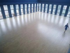 高新區(qū)公安局，楓樺木A級主副龍骨